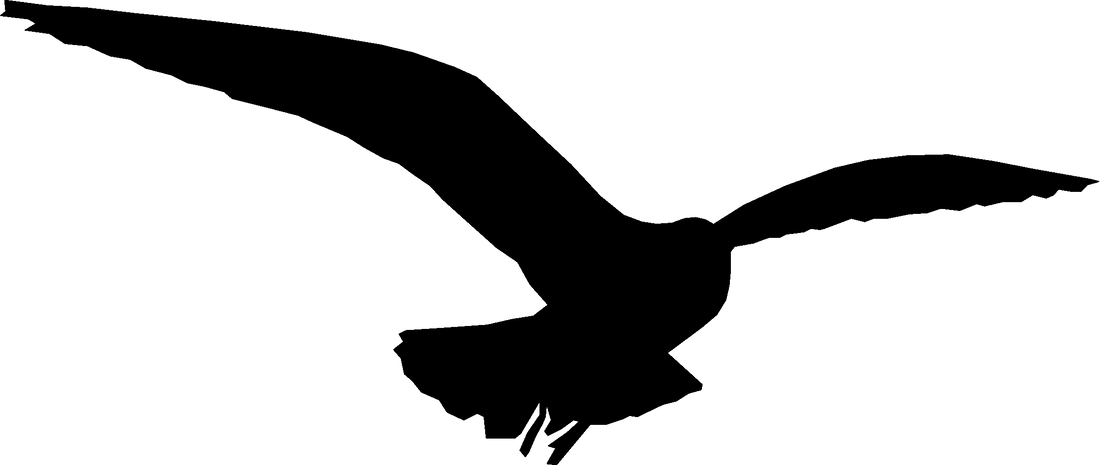 Adler Logo Freiheitslust