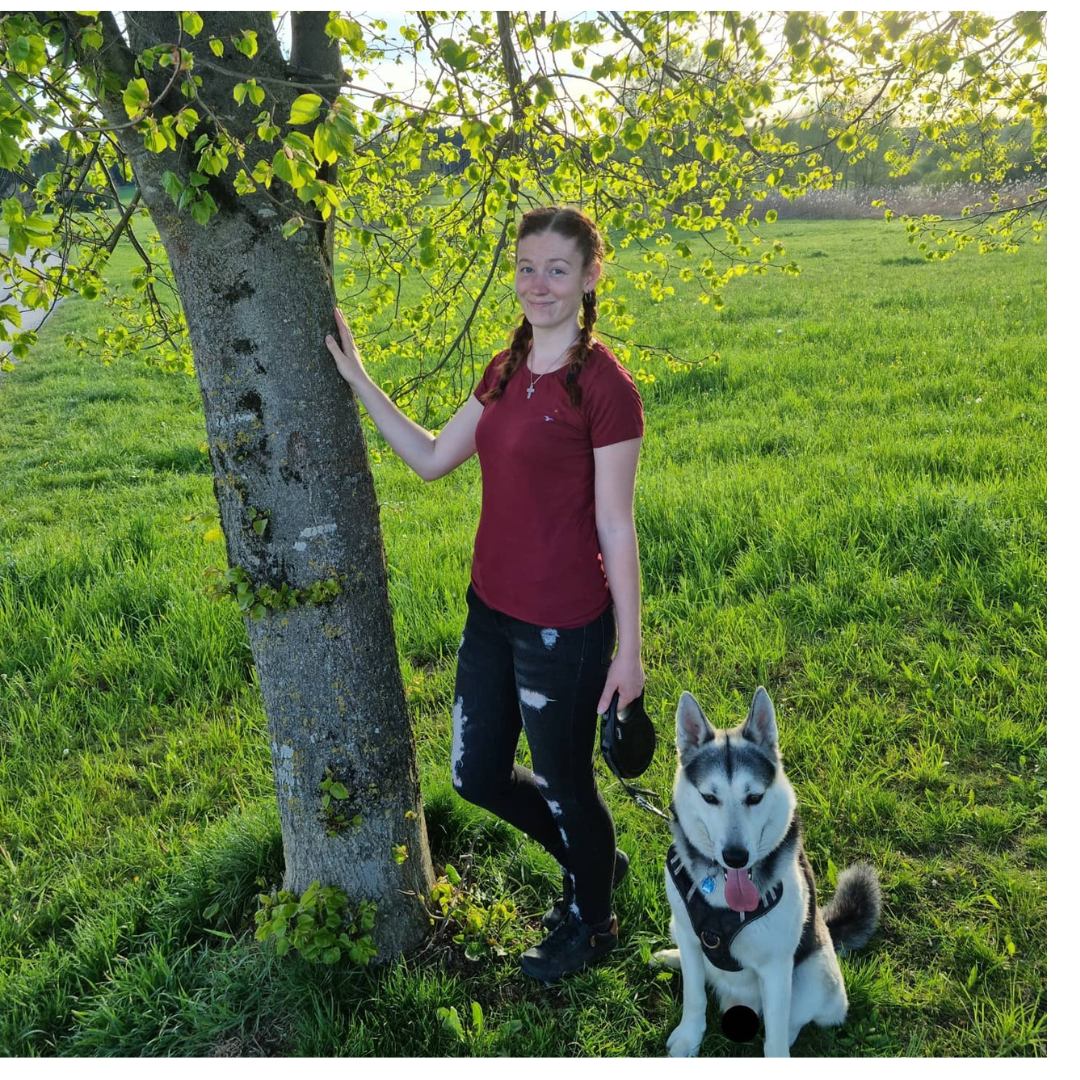 Markenbotschafter Geld verdienen