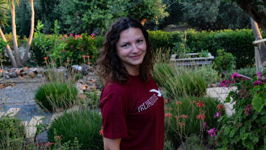 Markenbotschafter mit Provisionsbeteiligung 